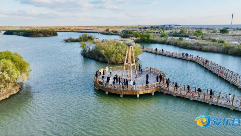 的角逐中 的角逐中