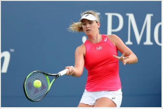 起的新星 起的新星