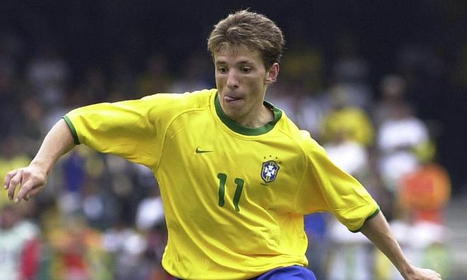 却并未完全 却并未完全